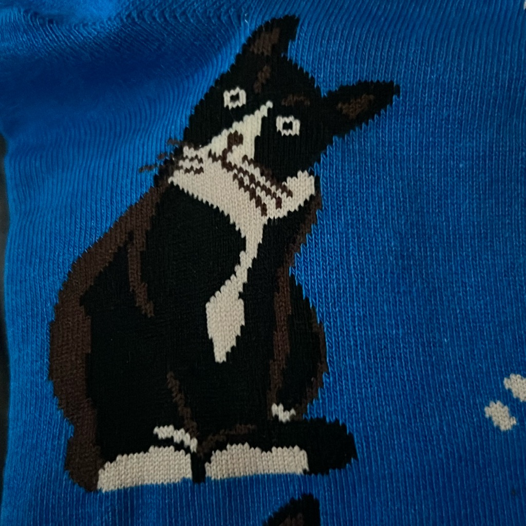 Cat Socks